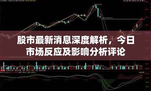 股市最新消息深度解析,今日市场反应及影响分析评论