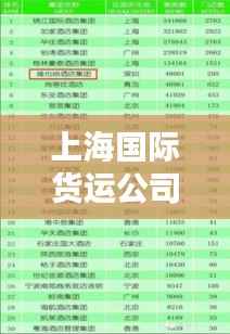上海国际货运公司排行榜及影响力分析