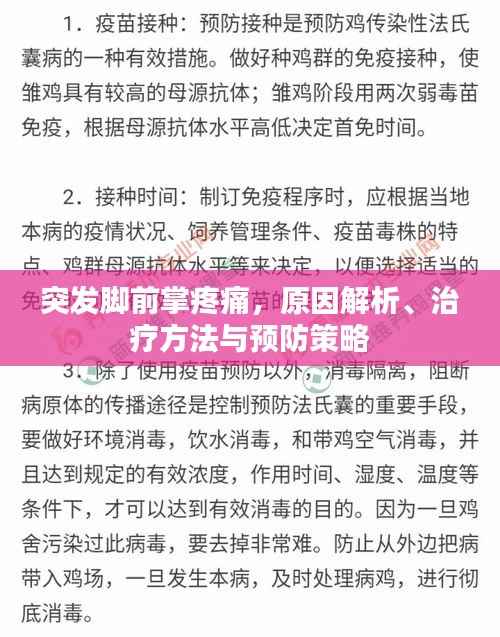 突发脚前掌疼痛，原因解析、治疗方法与预防策略