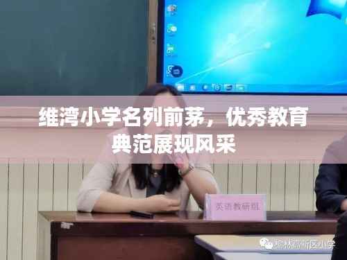 维湾小学名列前茅，优秀教育典范展现风采