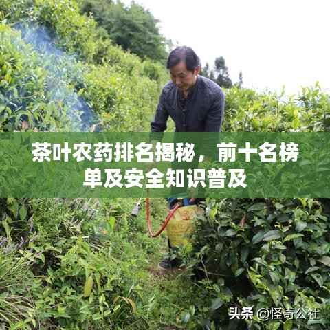 茶叶农药排名揭秘,前十名榜单及安全知识普及