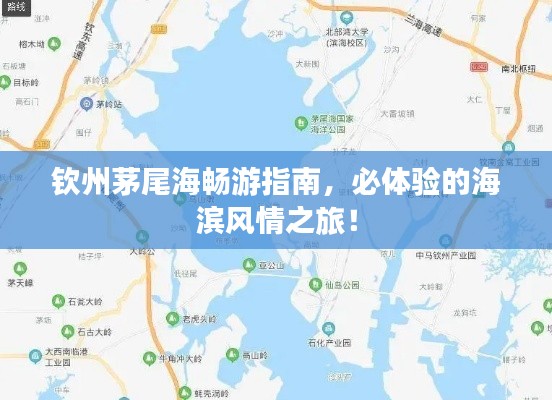 钦州茅尾海畅游指南,必体验的海滨风情之旅!