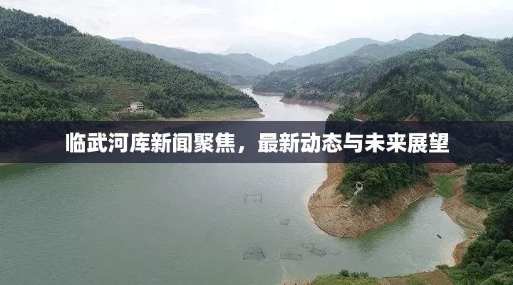临武河库新闻聚焦，最新动态与未来展望
