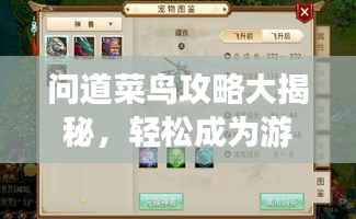 问道菜鸟攻略大揭秘,轻松成为游戏高手的步骤详解