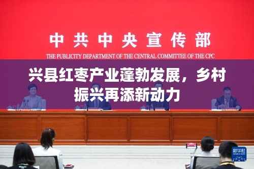 兴县红枣产业蓬勃发展,乡村振兴再添新动力